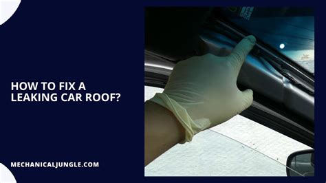 car roof leak repair|Car Roof Repair: The Ultimate Guide to Fixing Your。